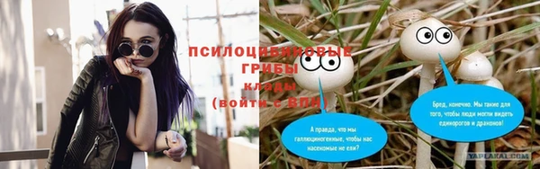 наркотики Дмитриев