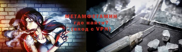 прущие грибы Дмитровск
