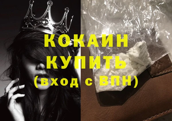 прущие грибы Дмитровск