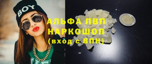 прущие грибы Дмитровск