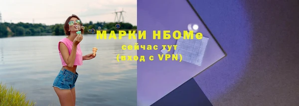 прущие грибы Дмитровск