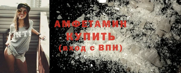 прущие грибы Дмитровск
