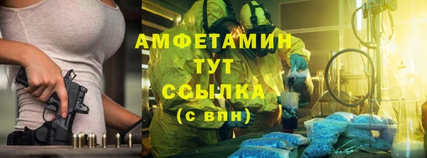 прущие грибы Дмитровск