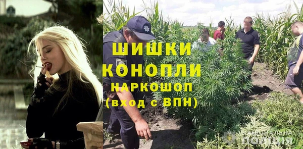 прущие грибы Дмитровск