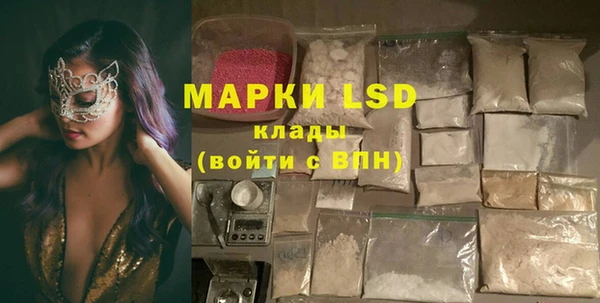 прущие грибы Дмитровск