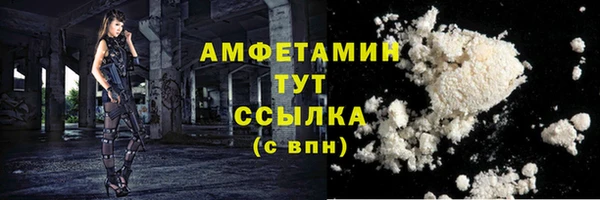 прущие грибы Дмитровск