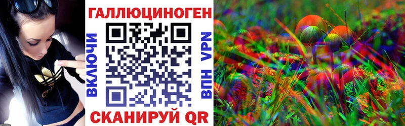 Псилоцибиновые грибы Psilocybe  Купить где  Камень-на-Оби 
